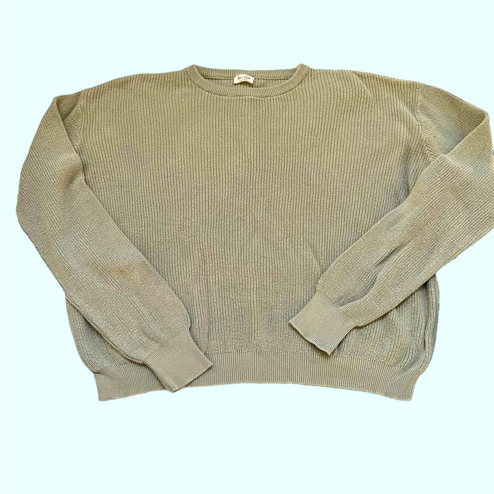 John Galt Brandy Melville sage crew neck sweater